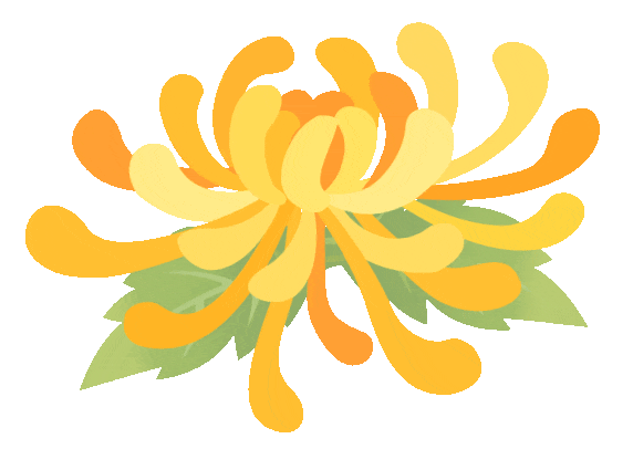 4.9万盆菊花藏在这儿！快来打卡~