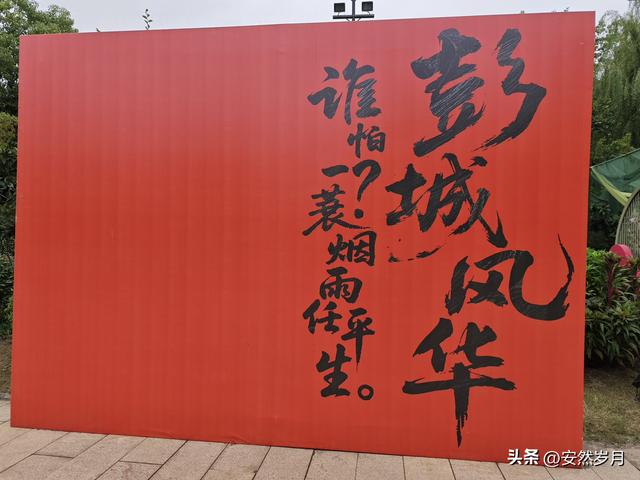 我的退休生活:旅游容易，搭子却不易找