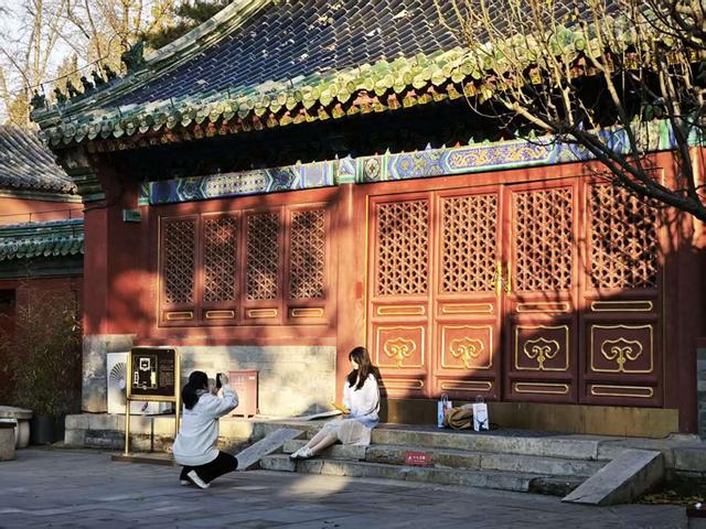 京城冬日迎暖阳，公园漫步享受闲适时光