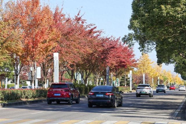 福建武夷山：车在路上行 人在画中游