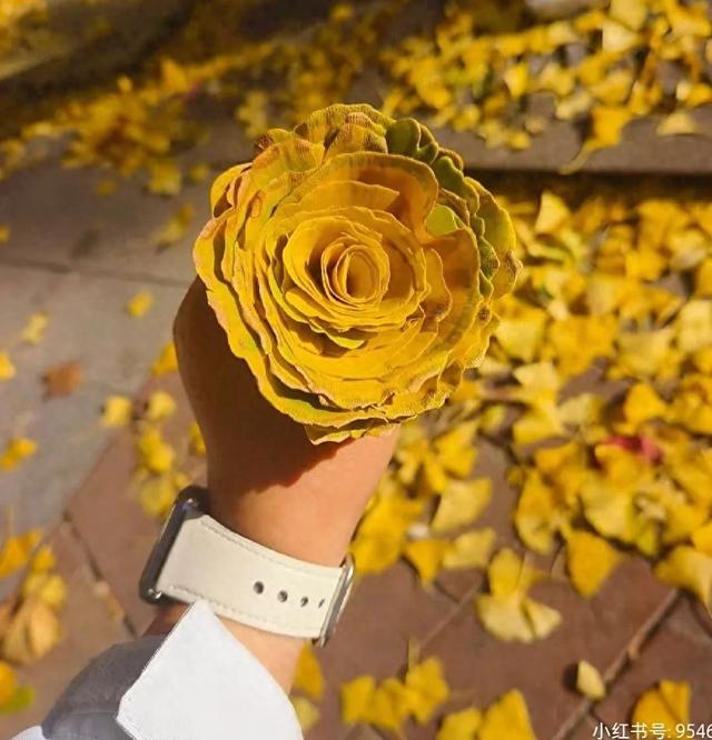 风递秋信来，沂蒙忆半夏｜临沂的秋日惊喜，等你来解锁！