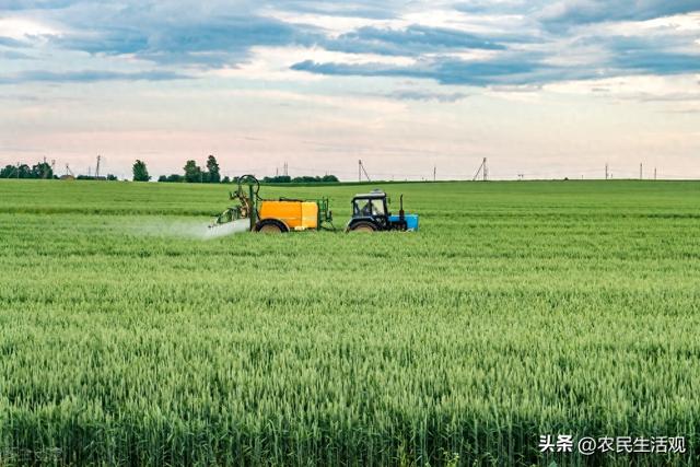 2023年谷雨指什么生肖（明年闰二月）