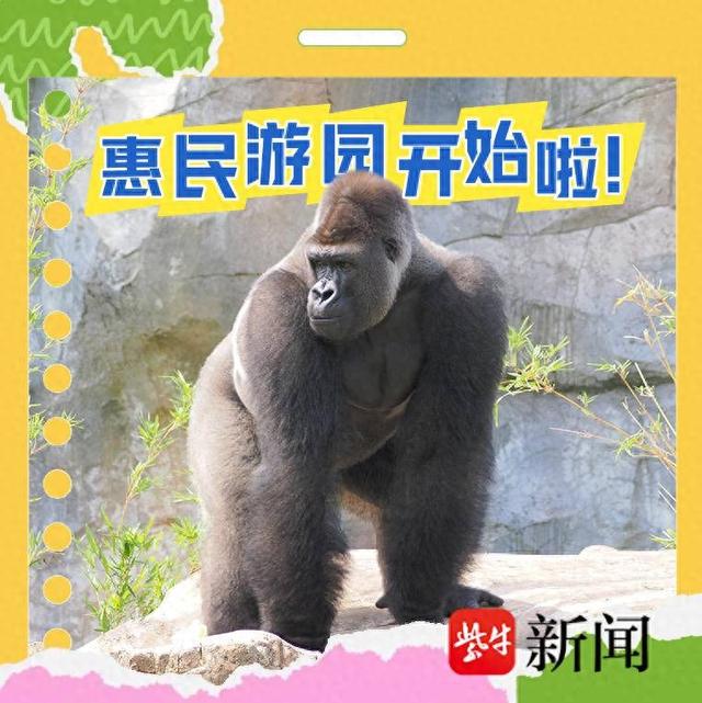 连嗨7日，每日发放5000张免费门票！红山动物园3.5万个惠民游园名额开放报名