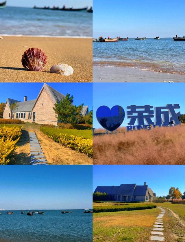 山东荣成：天鹅与海鸥齐飞，这座低调滨海城，藏着北纬37°的浪漫