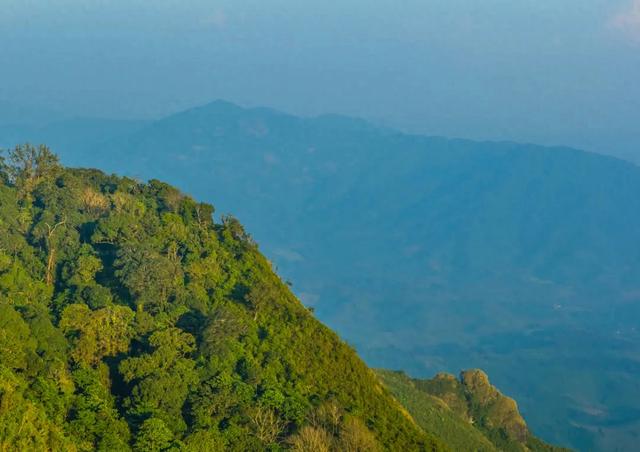 2025旅游巨变：不是市场冷了，是规则换了。这几个新赛道正爆发