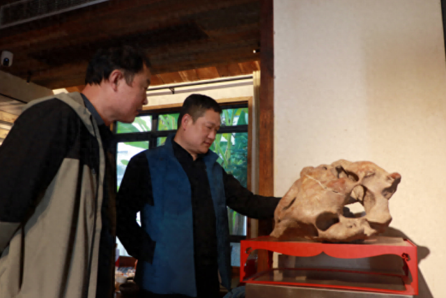 “民宿＋赏石”跨界融合 肥东探索文旅“长红”新路径