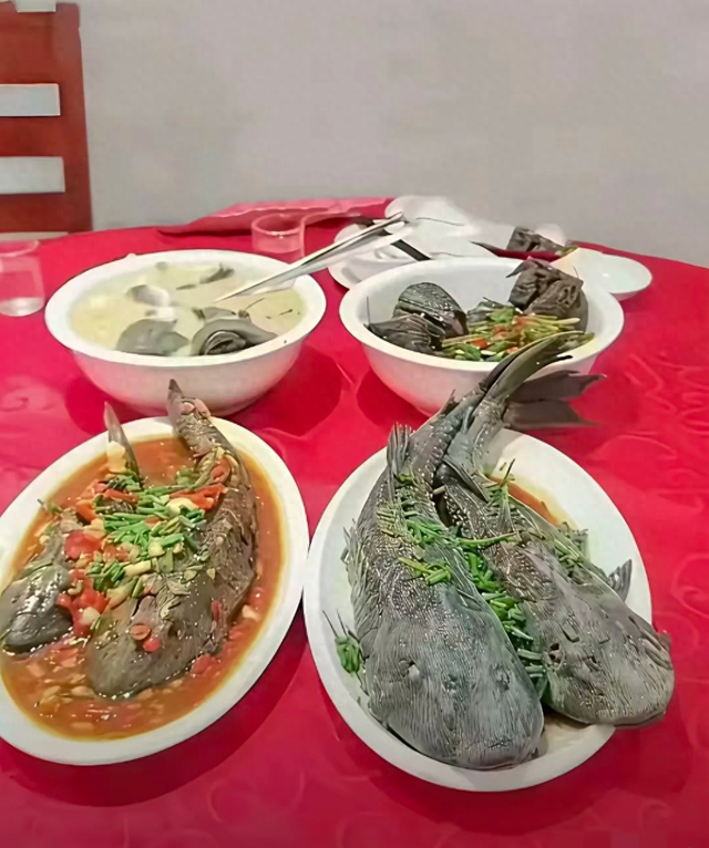 朋友请客吃神秘鱼，一鱼四吃摆上桌，我傻眼了：这是什么品种？