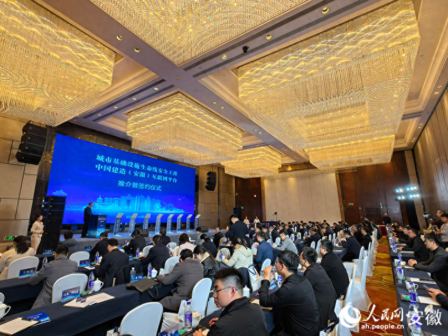 建设厅网站电视剧（中国建造安徽互联网平台上线运营）