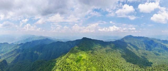 鸟鸣致富路—四川老君山国家级自然保护区奏响屏山文旅融合新乐章