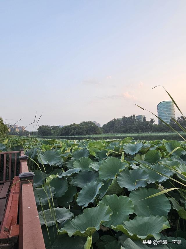 追逐晨曦，追逐阳光，追逐清晨的第一缕阳光，它照耀你前行的路！
