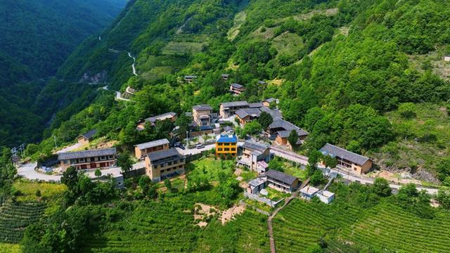 裕河茶山入画来 茶旅融合引客来