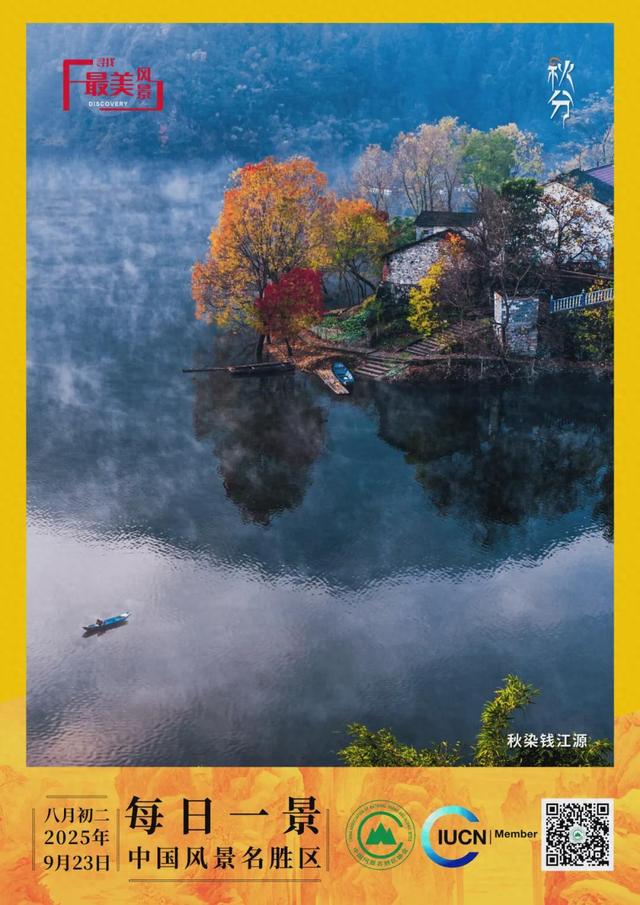 每日一景 | 秋染钱江源