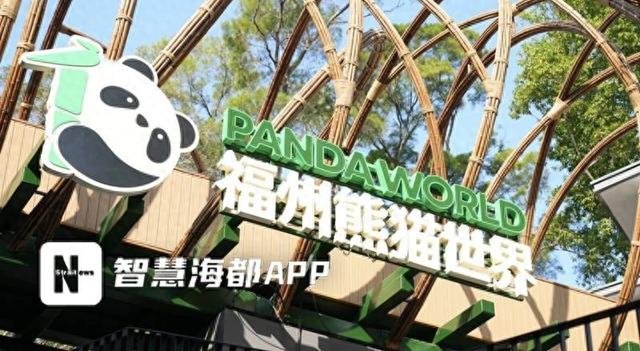 福州熊猫世界1月17日正式开园！海都记者整理了详细的入园购票游玩攻略，快收藏