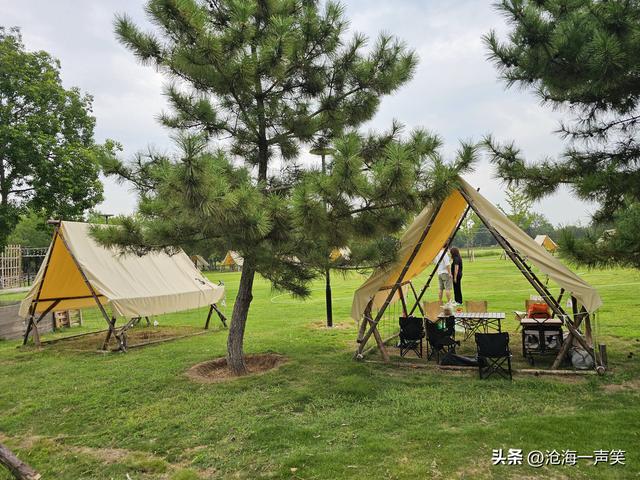 秋色依依，露营柔柔，微风习习，人生得意须尽欢，莫使金樽空对月