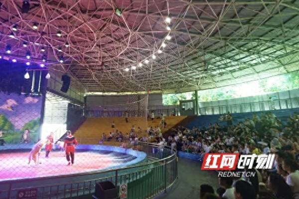 长沙市第一医院组织开展“童趣探险家”暑期亲子科普活动