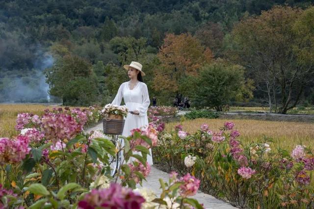刷屏朋友圈的黟县秋！在这里，慢享“退休式周末”~ | 皖美冬日 | 第十五届安徽国际文化旅游节