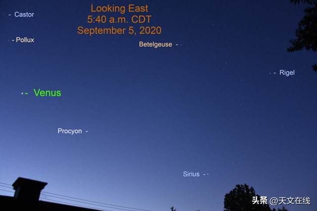 哪颗星是夜空中最亮的星（夜空中最亮的恒星）