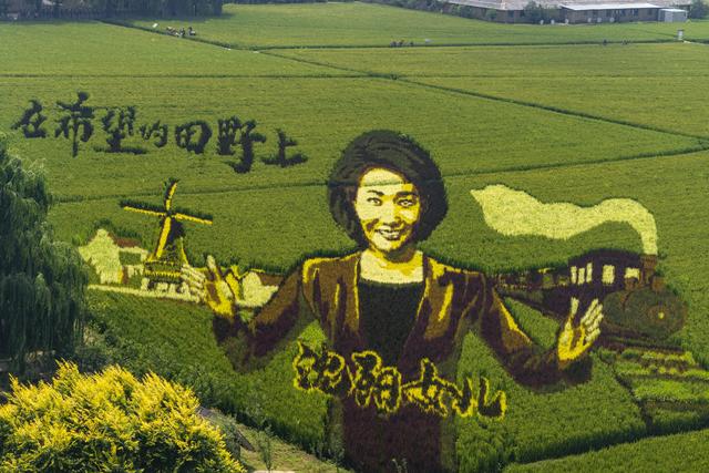 辽宁沈阳：一组美丽壮观的稻田画栩栩如生