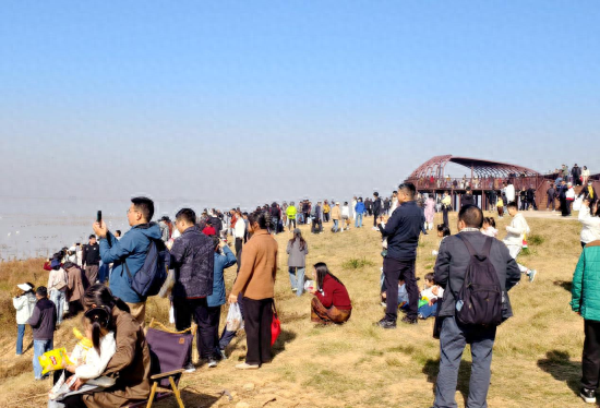 候鸟翩跹至 古镇烟火浓 永修吴城以生态之美燃旺冬日旅游热