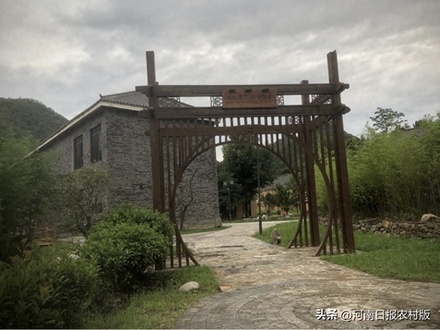 融合破局 携手打造全域旅游