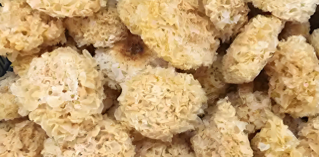 秋分后口干燥？试试这3种家常食材，助你舒适过秋！