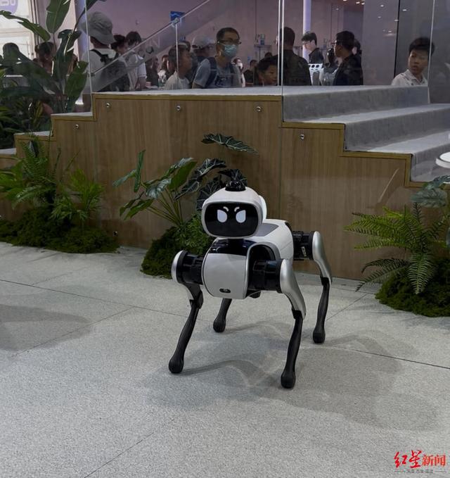Vbot维他动力发布国内首款智能伴随机器人，将在年底完成产品上市