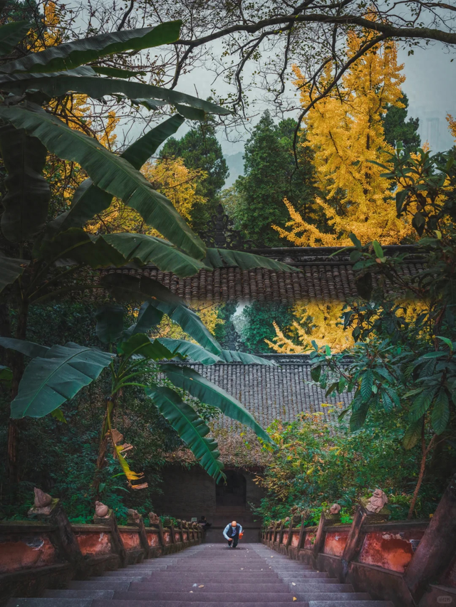 老君山，美美相约！