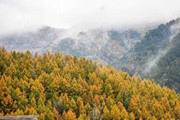 网络中国节·中秋丨当国庆红遇上中秋月：五台山景区双节喜迎八方客
