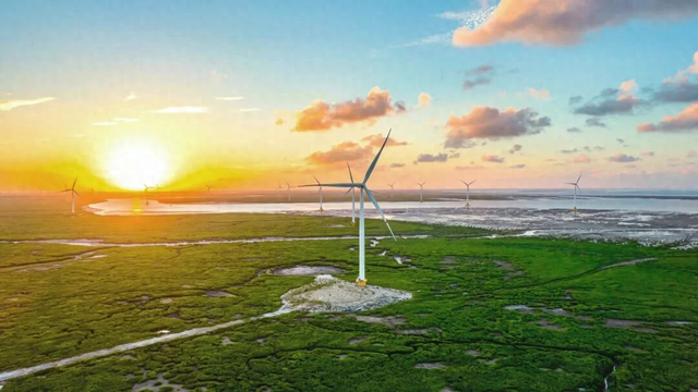 好玩好逛还好吃，关键是“鲜”到离谱！就在闵行这里……