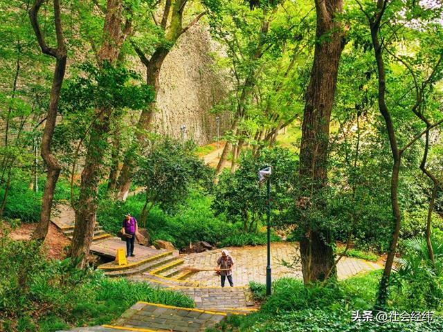 每日一景|幽湖清溪·琵琶湖公园