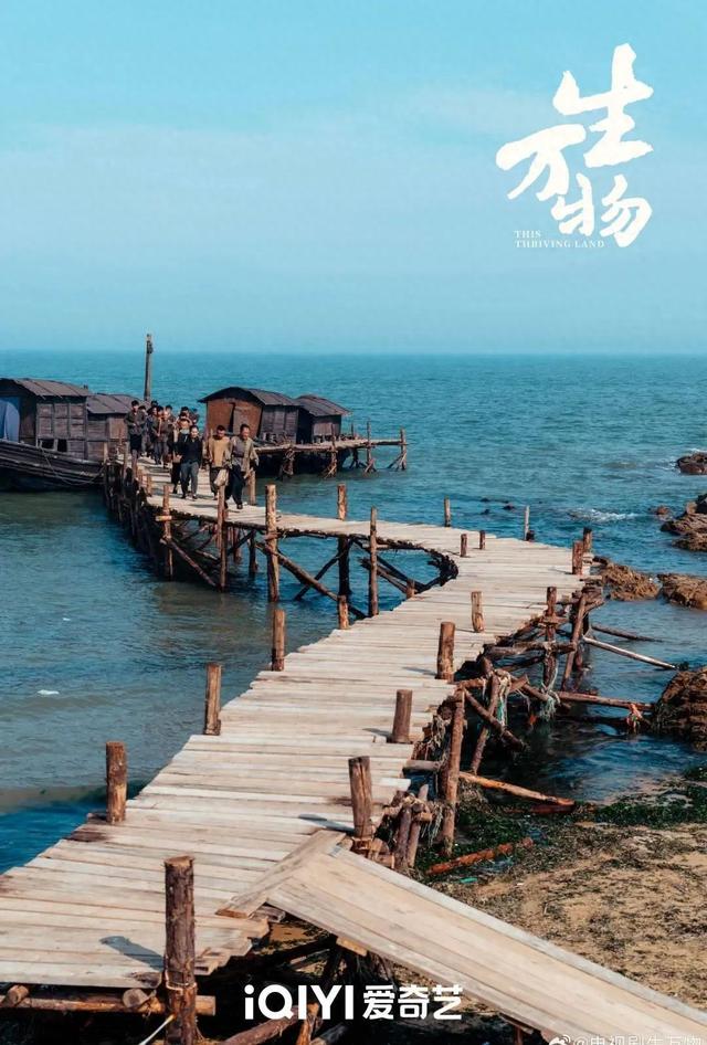正在央视热播！电视剧《生万物》取景地在这里……