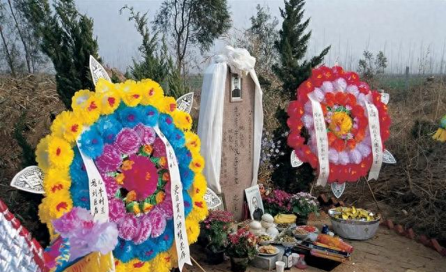 清明节都要干什么（今年清明不一般）