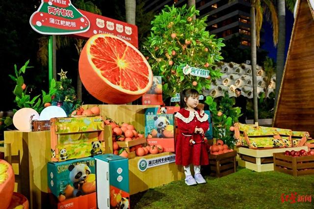 吹着维多利亚港的海风，吃着蒲江耙耙柑 成都文旅IP亮相香港