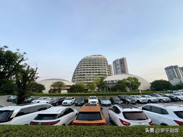 赛事引客潮 清凉促消费——罗平“体育+文旅”激活夏日经济活力