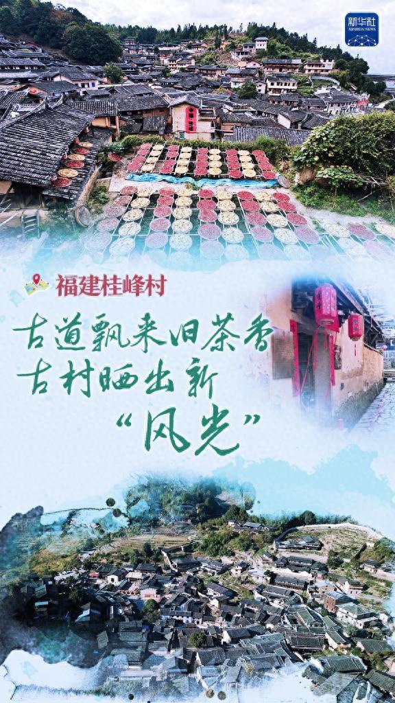 看见古村丨福建桂峰村：古道飘来旧茶香，古村晒出新“风光”