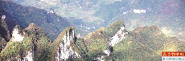 生吃蚂蚱睡山洞 全程直播无剧本“荒野求生”能否成为文旅新赛道