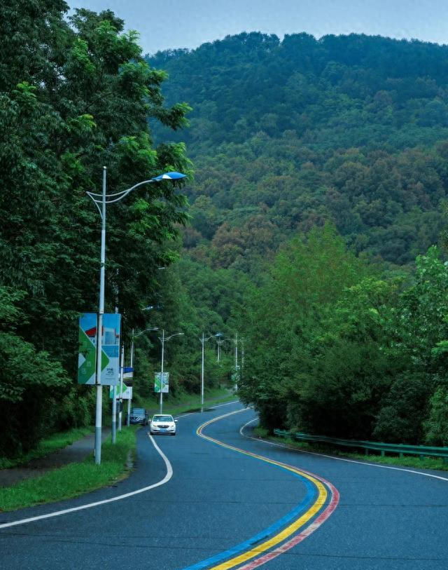 华东超大 “天然氧吧” 免费开放！南京这个森林公园藏不住了