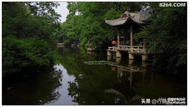 山东行游影记（10）—济南趵突泉（十）