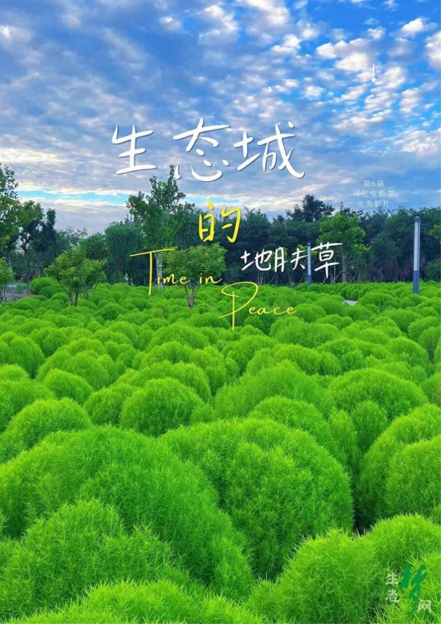 生态城，竟然藏着一个这么美的地方