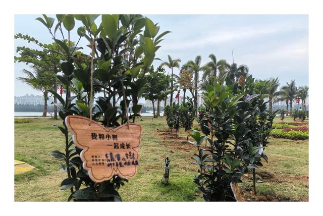 情暖海花岛 绿意跨南北|海南海花岛2号岛业主植树节特别活动