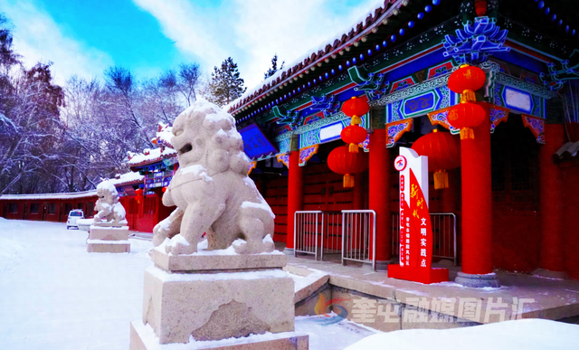 2026在奎屯丨落雪染冬色 烟火暖人心 知己常相伴