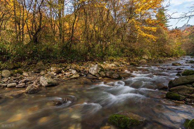 风景不输九寨，斑斓堪比张掖，这个 70% 游客都错过的彩林小城！