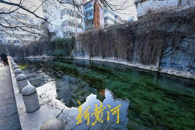 泉水流淌，寒冬于家桥景如仲春