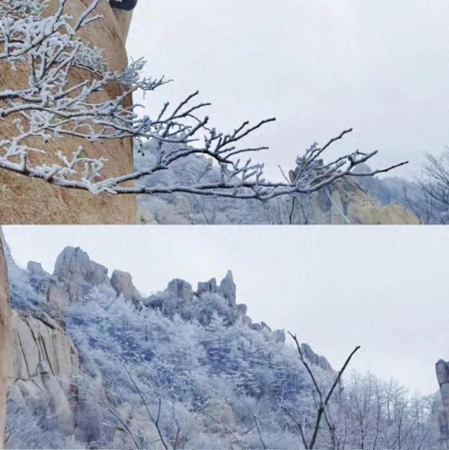抵青高铁票和机票别丢！解锁冬日崂山半价优惠