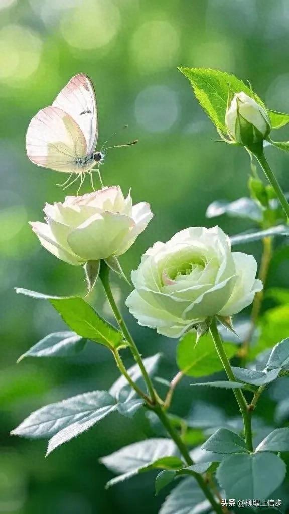 贴心的暖就是生命的光