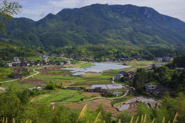 南洋风里飘着的根