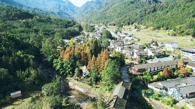 斑斓初冬藏山间！天府红谷彩叶秘境邀您打卡