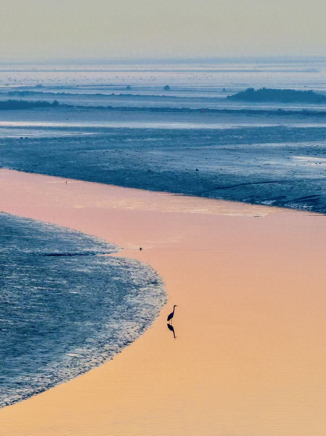 辞家千里又千里，东营想你也宠你！