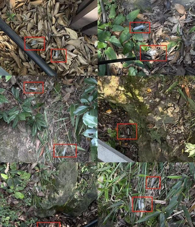 登山台阶的反光贴塑料薄膜直接扔山里？马家坞管理方：已完成清理