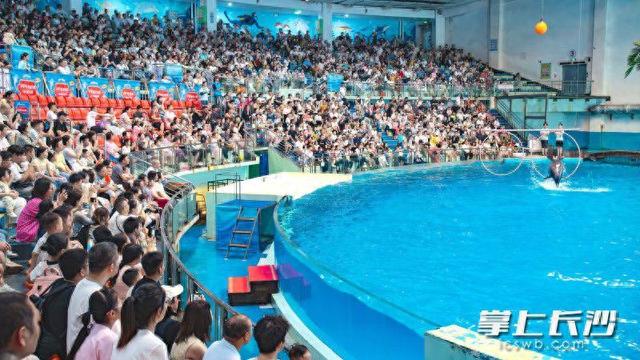 你来玩我买单，长沙海底世界惠客活动伴市民快乐过节
